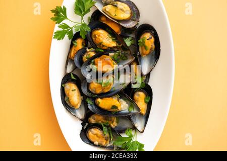 Keramikplatte mit leckeren gekochten Muscheln auf gelbem Hintergrund Stockfoto