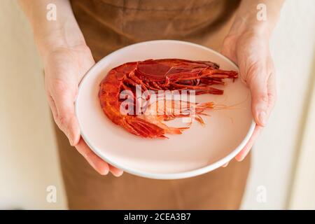 Anonyme Frau hält Keramikplatte mit großen und kleinen gekocht Garnelen und zeigt sie der Kamera Stockfoto