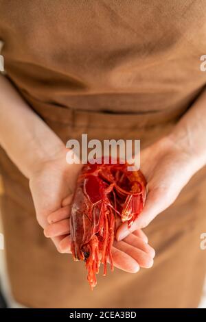 Anonyme Frau hält große Garnelen und zeigt es vor der Kamera Stockfoto