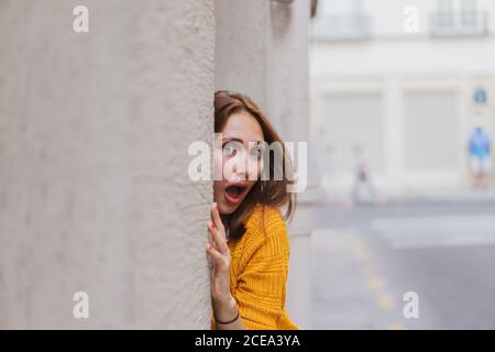 Hübsche Frau, die die Kamera anschaut Stockfoto
