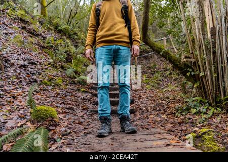 Mann mit Rucksack, der auf einer kleinen Holzbrücke über einem kleinen Bach steht, während er durch einen feuchten Wald in Spanien reist Stockfoto