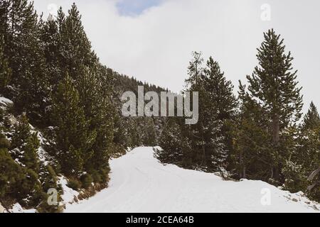 Schöne Landschaft Bäume wachsen gegen Bergkette und wolkenlos blau Himmel in fantastischer Winternatur Stockfoto