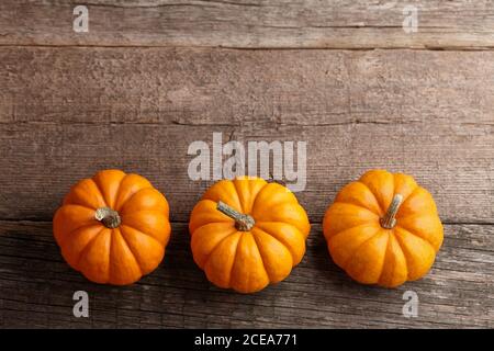 Schöne Mini-Kürbisse auf Holzplanken, Feiertagsdekoration Stockfoto