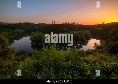 Friedlicher Fluss fließt in grüner Natur Stockfoto