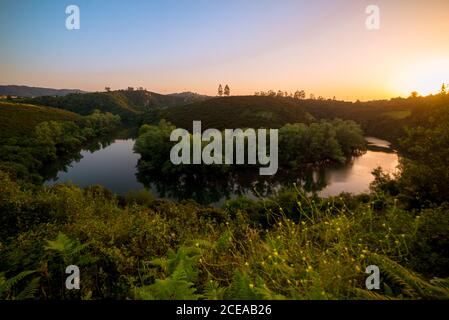 Friedlicher Fluss fließt in grüner Natur Stockfoto