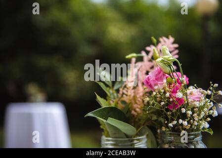 Schöne frische Rose blüht im Glas Dosen in der Nähe von grünen Pflanzen auf unscharfen Hintergrund Stockfoto