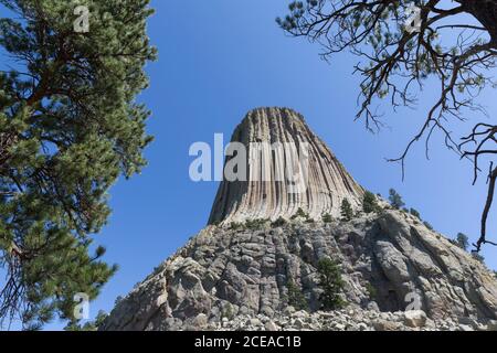 Ein Blick auf die Südseite des Turms vom Tower Trail am Devils Tower National Monument, Wyoming am Freitag, 14. August 2020. Stockfoto