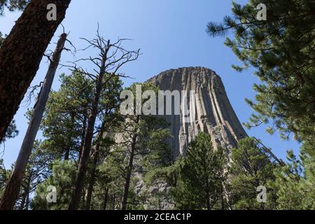 Ein Blick auf die Ostseite des Turms vom Tower Trail am Devils Tower National Monument, Wyoming am Freitag, 14. August 2020. Stockfoto
