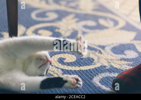 Seitenansicht des männlichen Schwarzen in modischen Anzug und lächelnd Tasse frischen heißen Getränk und lehnte sich auf Geländer auf unscharfen Hintergrund der Stadt. Stockfoto