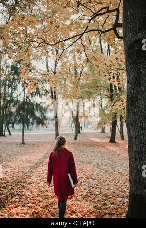 Rückansicht der Dame, die mit fallendem Gelb auf den Boden geht Blätter im Herbstwald Stockfoto