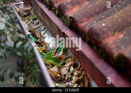 Kunststoffschutz in Rinne Trog auf einem Hausdach. Laubschutz. Stockfoto