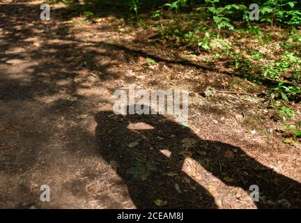 Schatten des jungen Paares küssen während Senden Zeit in der Natur An sonnigen Tag Stockfoto