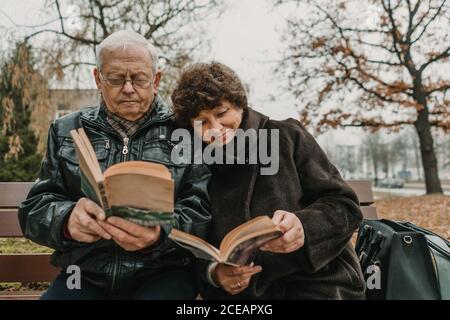 Ältere Paare lesen Bücher im Park Stockfoto