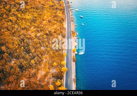 Luftaufnahme der Straße im Herbst Wald und Boote in Das Meer Stockfoto