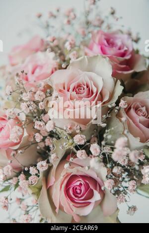 Nahaufnahme von oben Blick auf Bündel von schönen hellrosa rosen Stockfoto