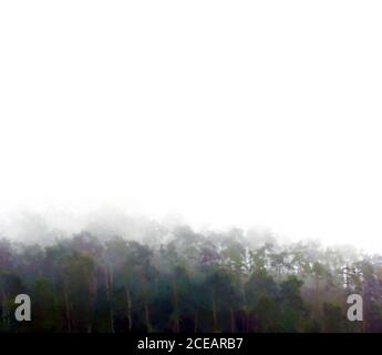 Dekorative Hintergrundszene mit Bäumen im Nebel, digitale Aquarelle Stockfoto