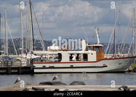Port de Saint Tropez, Frankreich - 31. August 2020 - Landschaft Leuchtturm, Meer, Sommer - Credit Ilona Barna BIPHOTONEWS Stockfoto