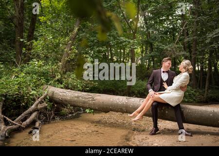 Schöner Bräutigam im Anzug hält Braut auf Händen und sitzt Auf gefallenen Baumstamm in grünen Wäldern Stockfoto