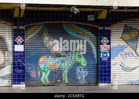 Straßenkunst an der Eingangstür eines Ladens, die einen Zonkey darstellt, eine einzigartige Tijuanan-Kreation, die durch das Malen von Zebrastreifen auf einem Esel geschaffen wurde. Tijuana, Mexiko. Stockfoto