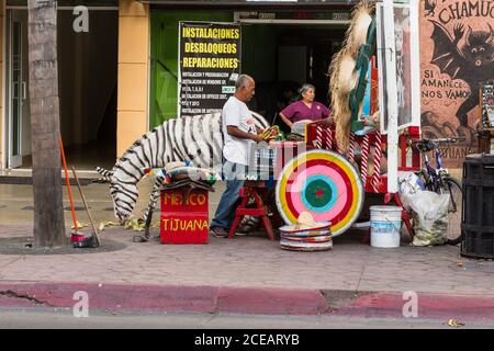 Zonkeys, Esel mit Zebrastreifen bemalt, sind ein Wahrzeichen für touristische Fotos in Tijuana, Mexiko. Touristen zahlen, um ihre Fotos mit dem z gemacht zu haben Stockfoto