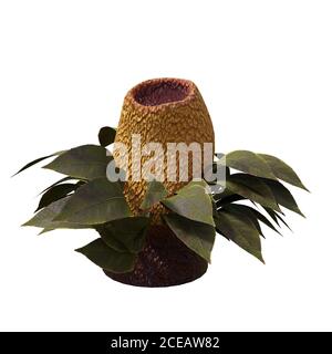 Alien Pflanzenleben, außerirdische Flora isoliert auf weißem Hintergrund Stockfoto