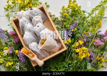 Holzkiste mit Teebeuteln gefüllt mit trockenen Heilkräutern. Bündel von Heilpflanzen auf Holztisch. Draufsicht. Alternative Medizin Stockfoto