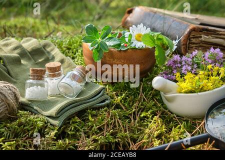 Flaschen von homöopathischen Kügelchen, Mörser von Heilkräutern, altes Buch und Lupe auf einem Moos im Wald im Freien. Stockfoto