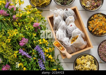 Holzkiste mit Teebeuteln gefüllt mit trockenen Heilkräutern und Schalen von trockenen Heilpflanzen. Haufen Heilkräuter auf Holztisch. Draufsicht. Alternativ Stockfoto