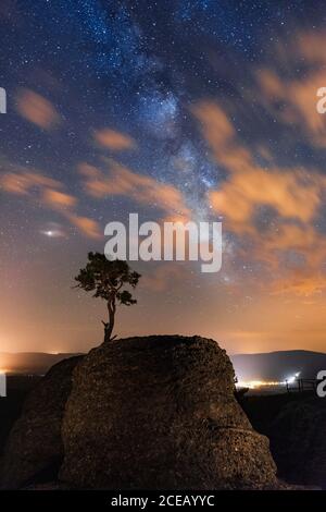 Beleuchteter einsamer Baum auf dem Felsen unter Nachthimmel voller Sterne und Milchstraße. Soria, Spanien Stockfoto