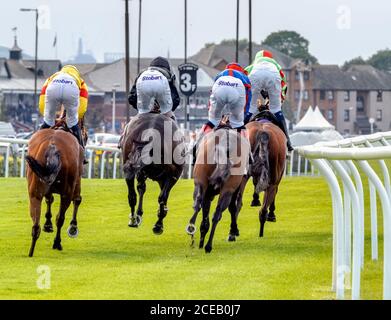 Pferde und Jockeys während eines Rennens auf der Musselburgh Racecourse, East, Lothian, Schottland, Großbritannien. Stockfoto