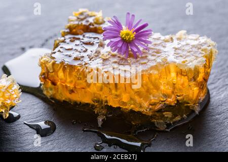 Kämme gefüllt mit Honig und kleine violette Blume auf einem Tisch. Stockfoto