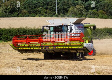 31. August 2020 Ein Cllas Lexion 570 Mähdrescher bei der Arbeit auf einem kleinen Feld mit Gerstenmais in Bangor County Down Northern Ireland Stockfoto