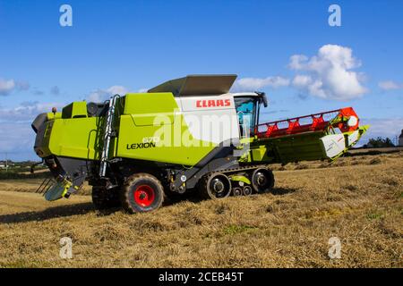 31. August 2020 Ein Cllas Lexion 570 Mähdrescher bei der Arbeit auf einem kleinen Feld mit Gerstenmais in Bangor County Down Northern Ireland Stockfoto