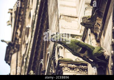 Wasserspeier in der Kathedrale Notre Dame. Paris, Frankreich Stockfoto
