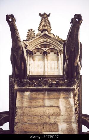 Wasserspeier in der Kathedrale Notre Dame. Paris, Frankreich Stockfoto