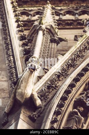 Wasserspeier in der Kathedrale Notre Dame. Paris, Frankreich Stockfoto