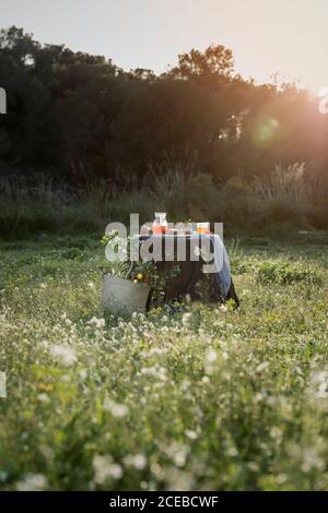 Romantisches Picknick mit Äpfeln auf Gras Stockfoto
