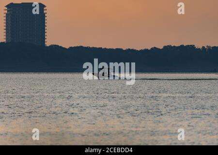 Ein Motorboot, das über einen See rast, kurz nach Sonnenaufgang mit einer hohen Eigentumswohnung, die über den Bäumen am Ufer im Hintergrund aufsteigt. Stockfoto