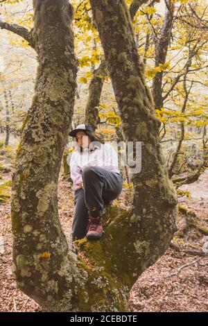 Junge Frau mit Mütze sitzt auf dem Stamm eines alten moosigen Baumes in herbstlichen Wäldern und schaut weg Stockfoto