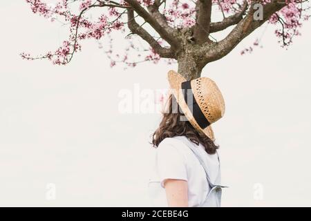 Junge romantische Teenager-Frau in Kleid und Hut machen Blase Gummi Blase gegen rosa Baum Stockfoto