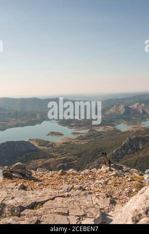 Kleiner Hund, der auf rohem Felsen steht und schaut Am schönen Tal mit ruhigen Seen an sonnigen Tag in Spanien Stockfoto