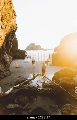 Rückansicht von jungen Männern und Frauen, die auf nassem Sand in der Nähe von Steinklippen und Meer während des Sonnenuntergangs am Strand in Kalifornien spazieren gehen Stockfoto