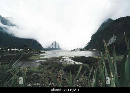 Majestätische Aussicht auf schöne Sumpf und Berge an nebligen Tag Im Fiordland National Park in Neuseeland Stockfoto