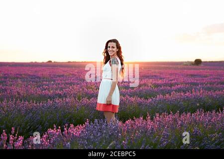 Frau, die bei Sonnenuntergang zwischen dem großen violetten Lavendelfeld steht Stockfoto