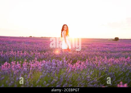 Lächelnde junge Frau zwischen violettem Lavendelfeld Stockfoto