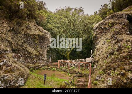 Leerer schmaler Pfad mit Stufen im Boden zwischen altem Moos Felsen im grünen tropischen Tal der Kanarischen Inseln Stockfoto