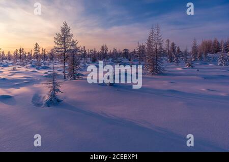 Winterlandschaft mit Sonnenuntergang, Bäumen und Klippen über dem Schnee. Winterschneeszene mit Wald, Bäumen und schneebedeckten Klippen. Blauer Himmel. Winterlandschaft. Stockfoto