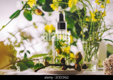 Ätherisches Mandelöl, mit Blumen und natürlichen Kräutern, auf einem Hintergrund von grünen Blättern Stockfoto
