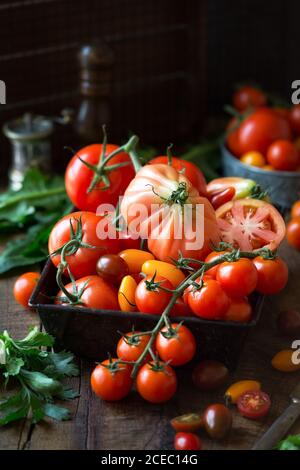Auswahl an roten, gelben und schwarzen Tomaten auf einem Vintage-Tablett auf dunklem rustikalem Holzhintergrund. Stockfoto