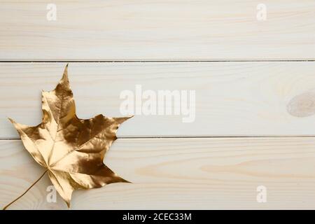 Designelemente goldenes Ahornblatt auf weißen Brettern. Stockfoto